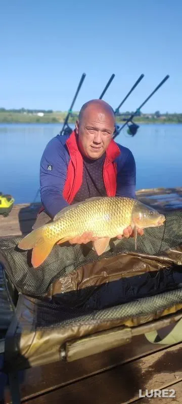Карп — Курская область, 09 июл. 2024 г.