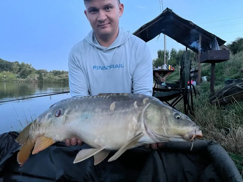 Карп