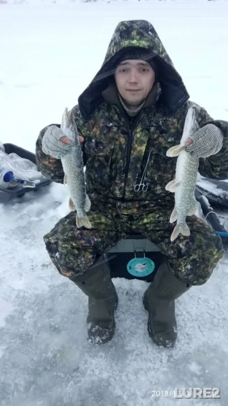 Щука — Лысьвенский, 08 дек. 2018 г.