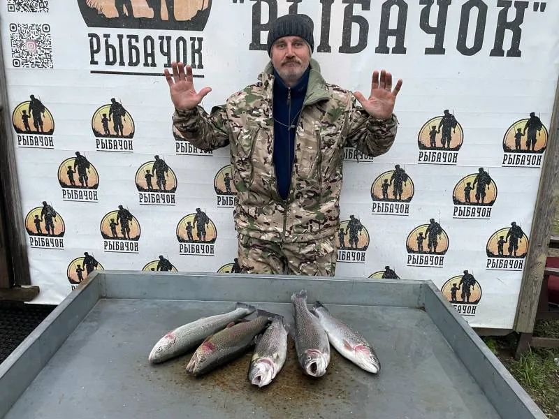 Форель радужная