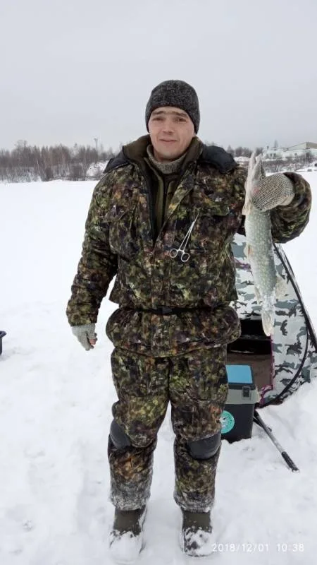 Щука