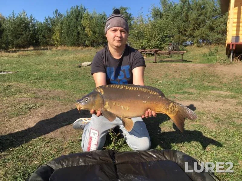 Карп — Белгородская область, 29 сент. 2019 г.