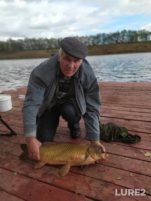 Карп — Белгородская область, 22 сент. 2019 г.