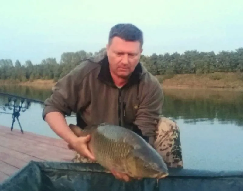 Карп, Карась