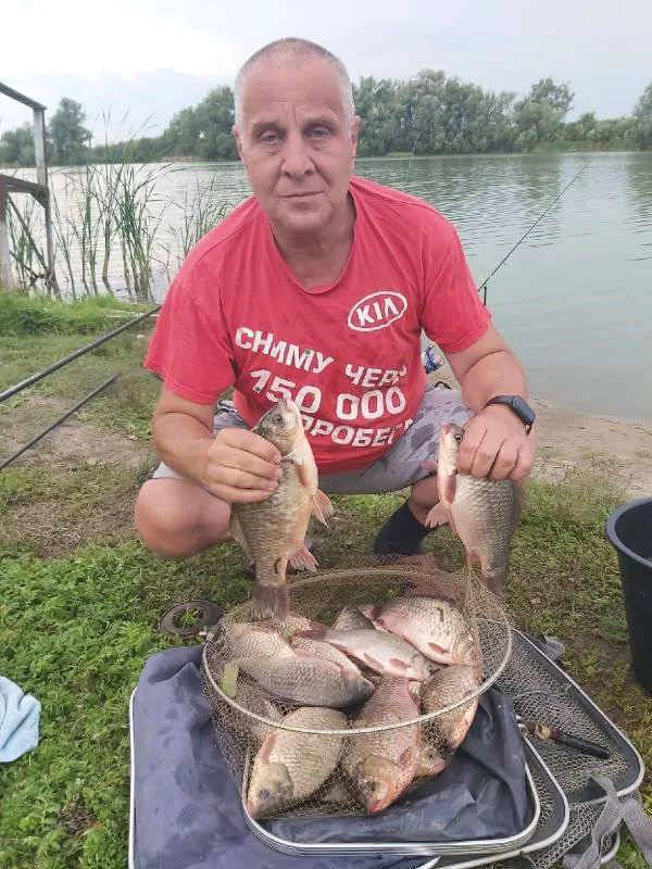 Карась