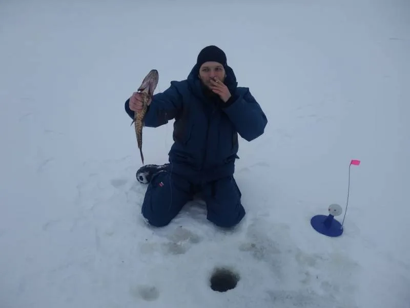 Щука