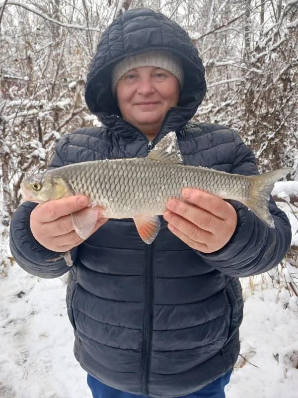 Голавль