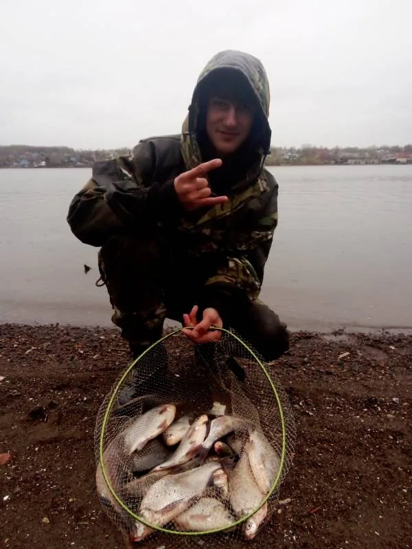 Карась