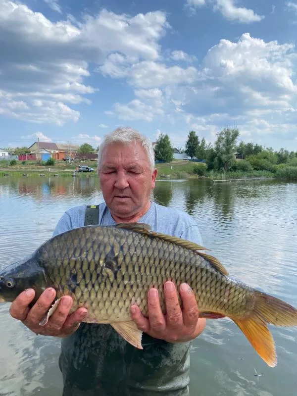 Карп