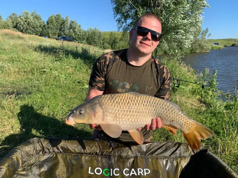 Карп