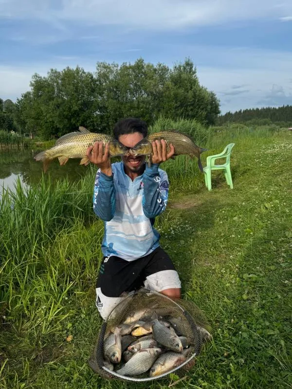 Лещ, Карп