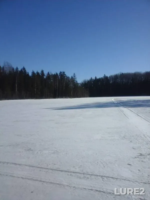 Щука