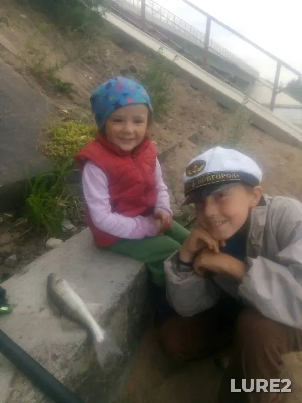 Судак — Ленинградская область, Выборгский район, 26 июл. 2019 г.