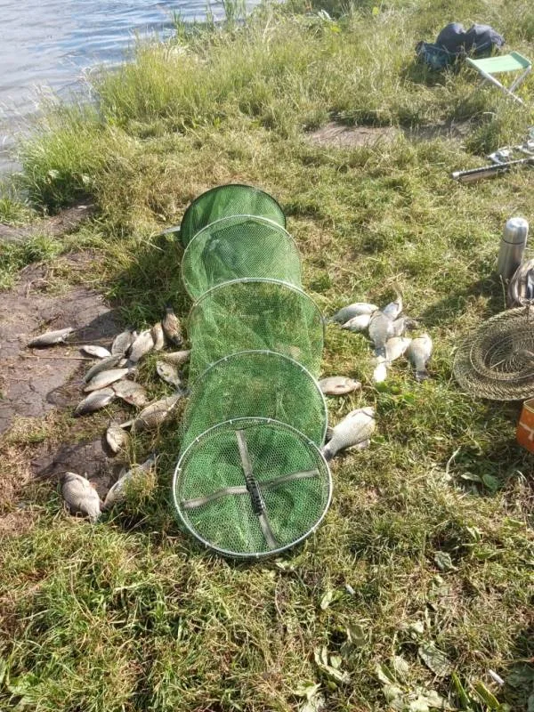 Карась