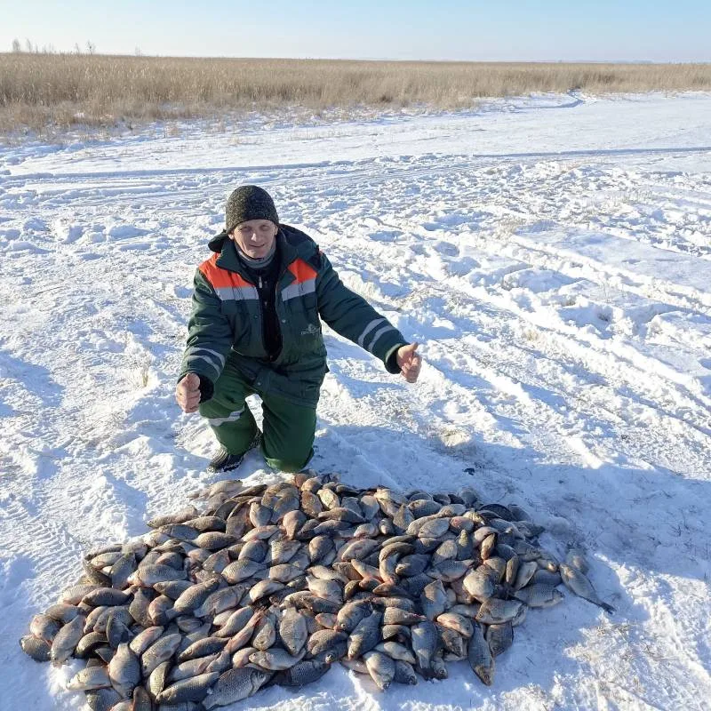 Карась