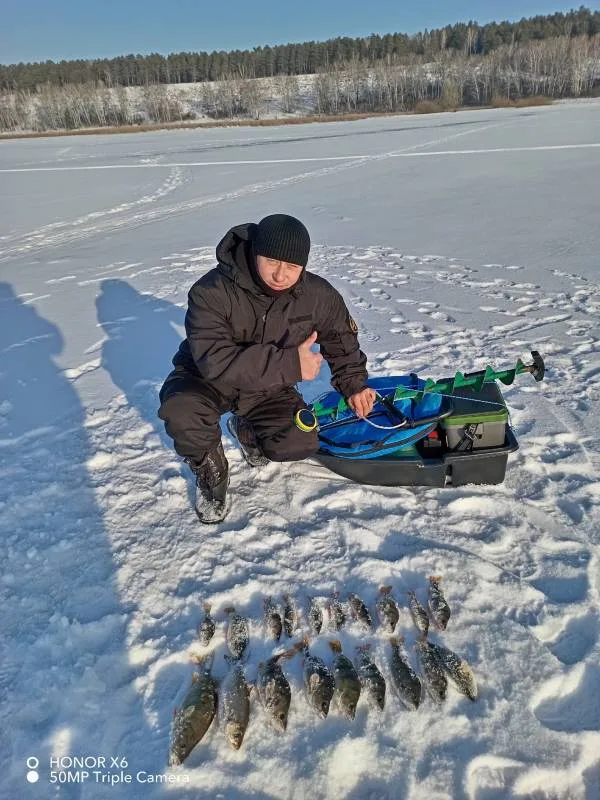 Окунь