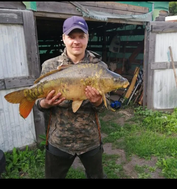 Карп