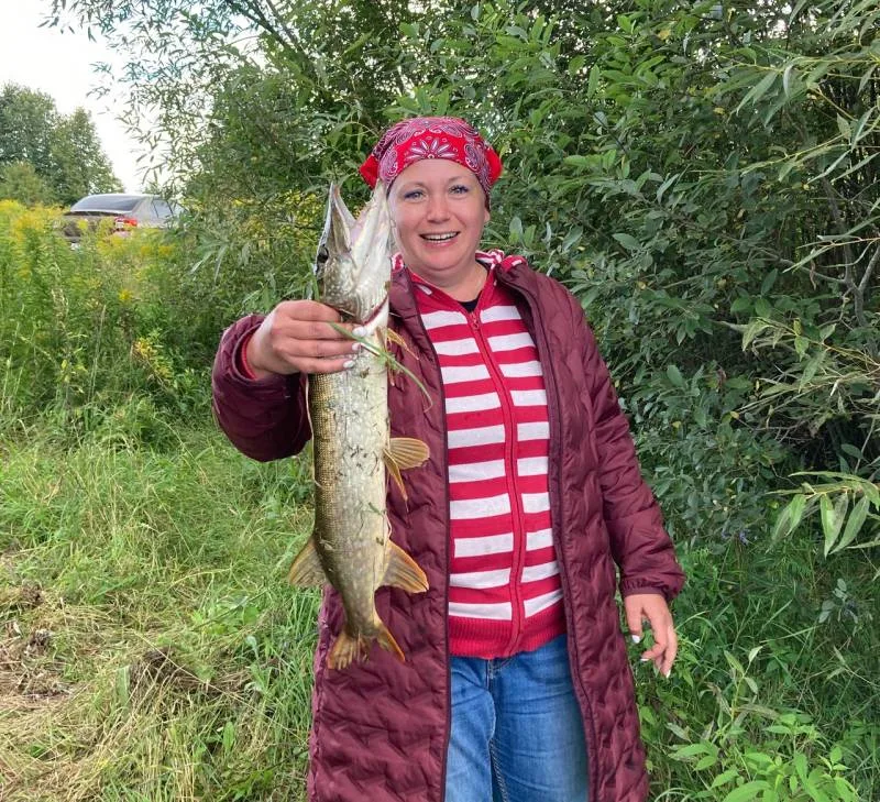 Щука