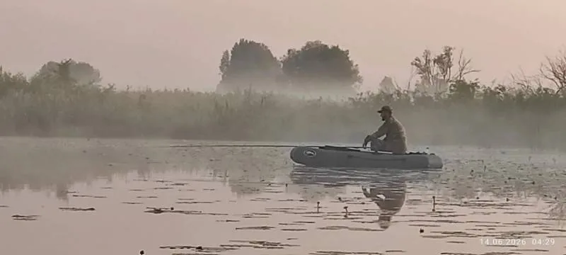 Карась, Окунь
