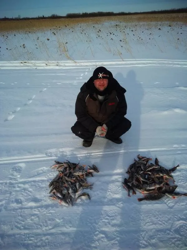 Окунь