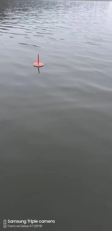 Щука