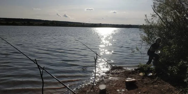 Карась, Окунь