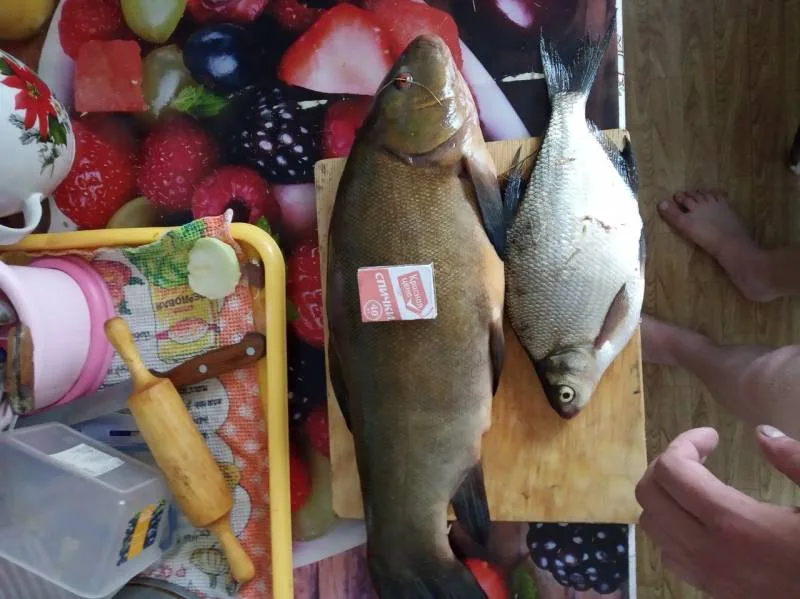 Лещ, Линь
