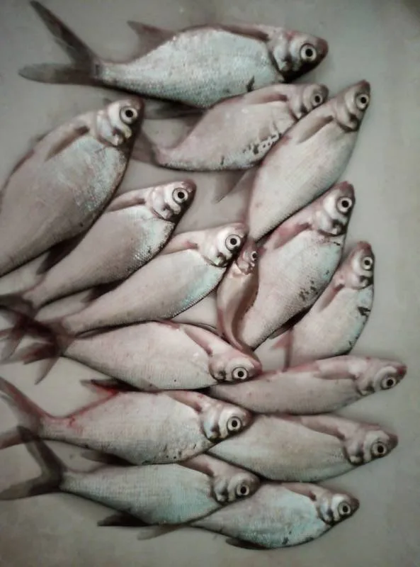 Лещ