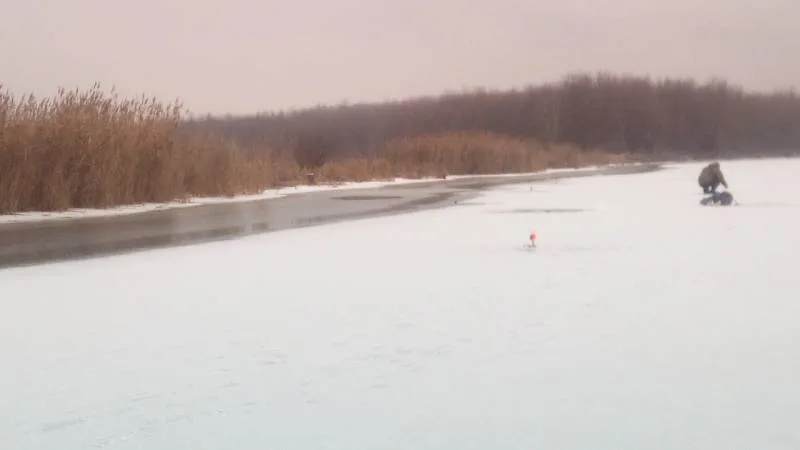 Окунь