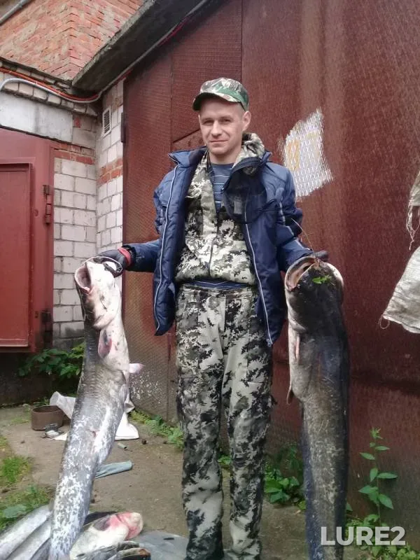 Сом — Воткинское, 29 июл. 2018 г.