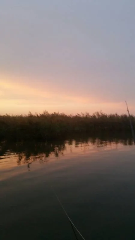 Карась