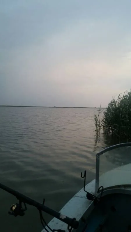 Карась