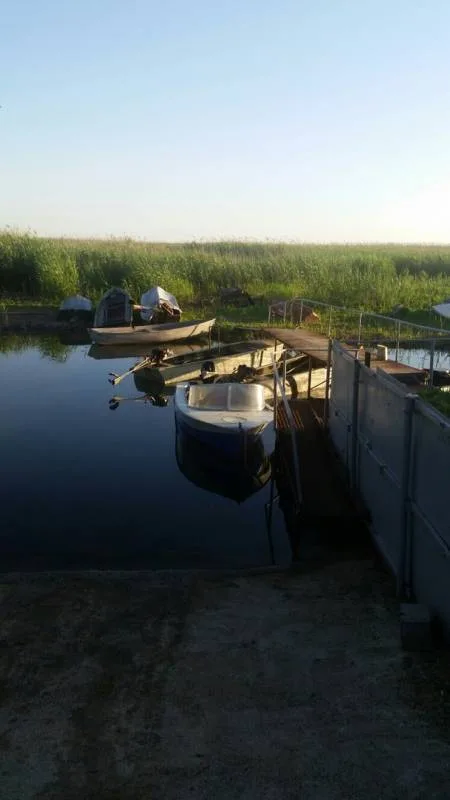 Окунь