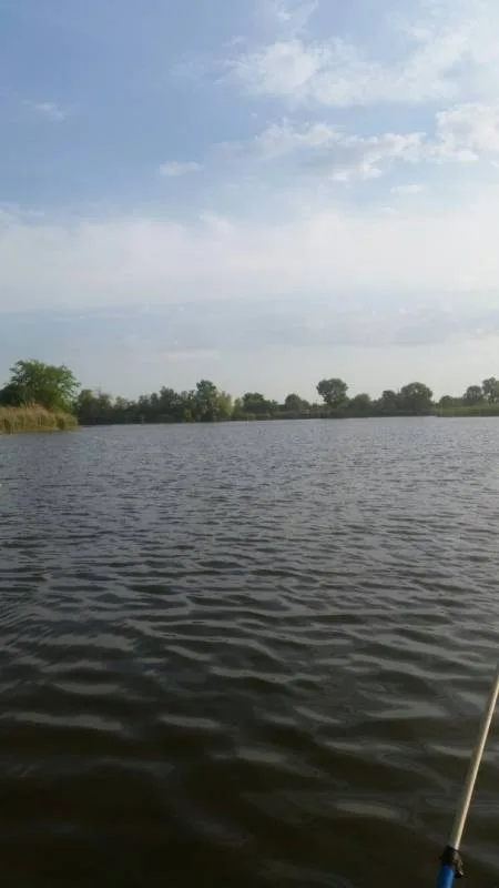 Карась