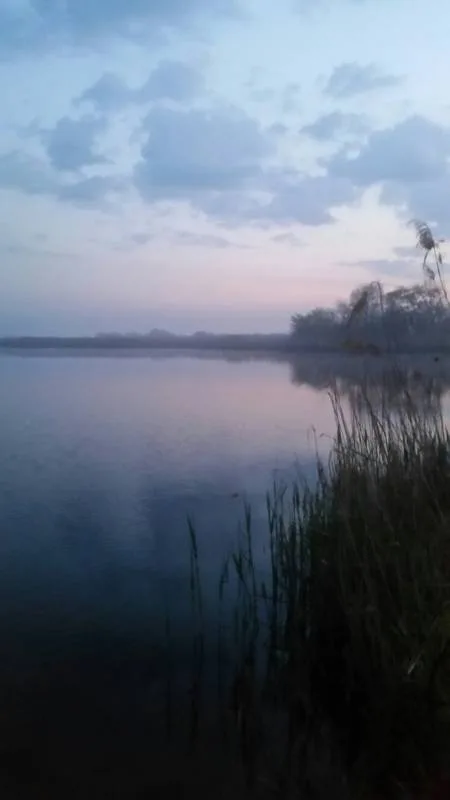 Карась