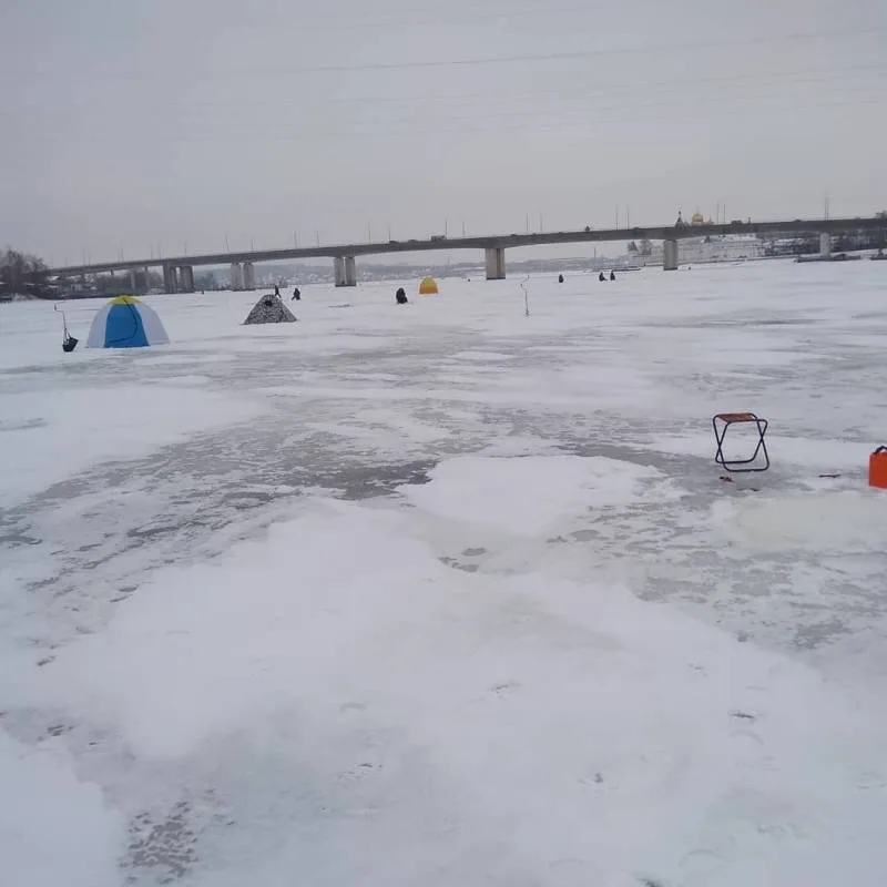 Окунь
