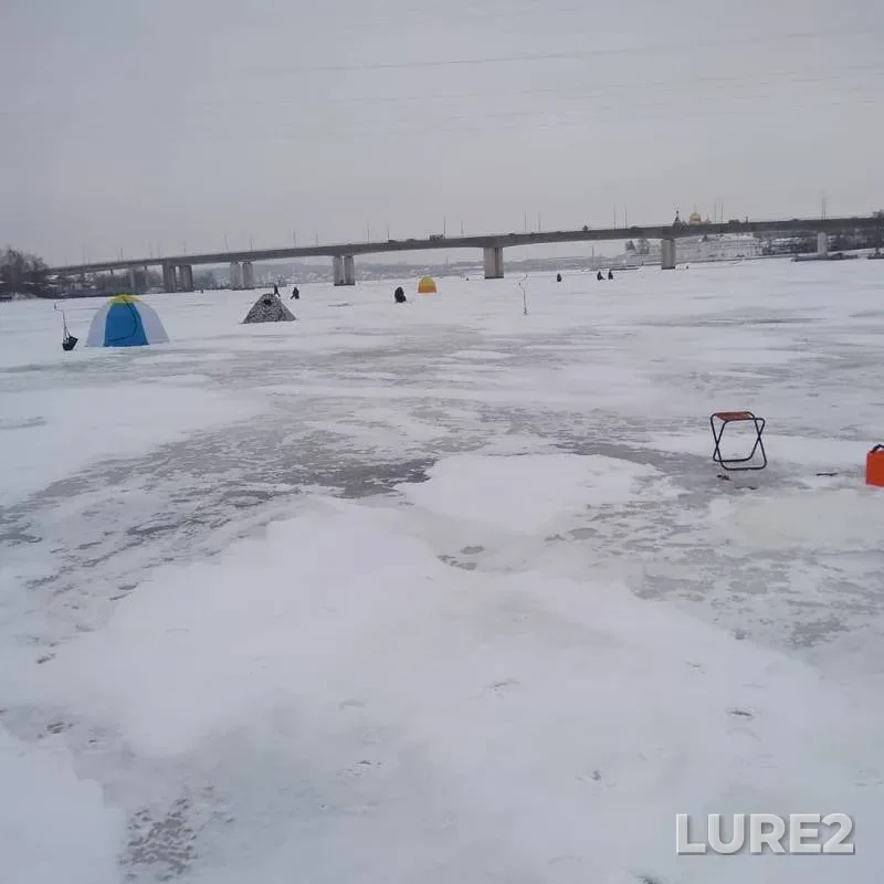 Окунь