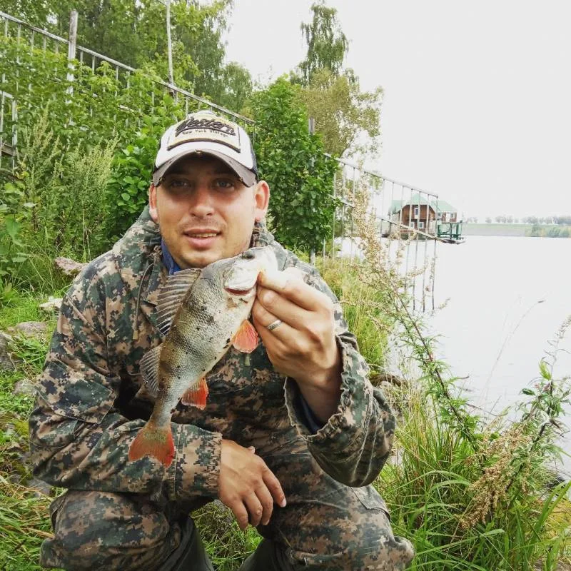 Окунь