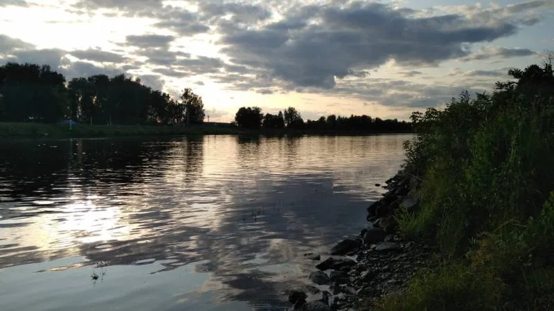 Окунь