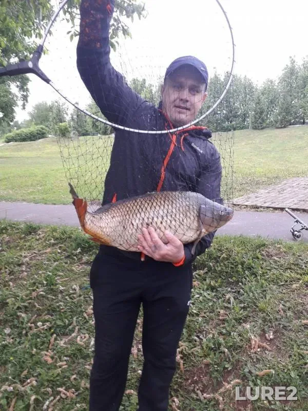 Карп