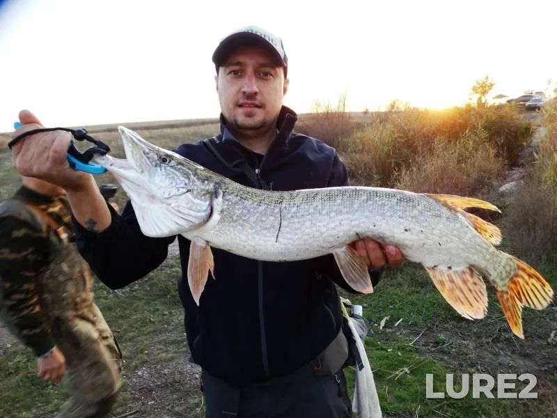 Щука — Крепкая, 27 окт. 2019 г.