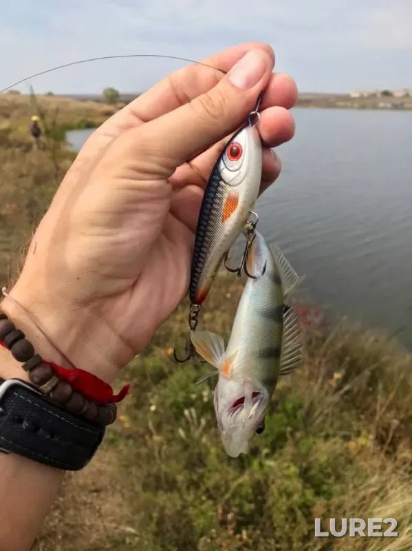 Окунь, Щука — Луганська область, 05 окт. 2019 г.