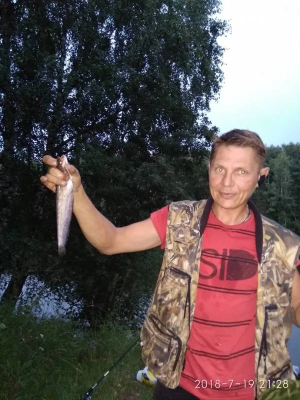 Сом, Окунь