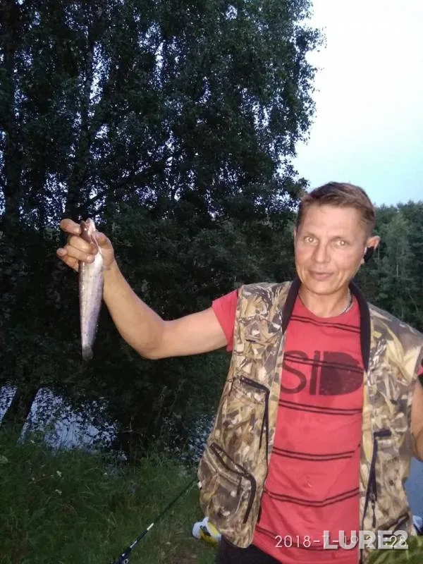 Сом, Окунь — Тверская область, 20 июл. 2018 г.