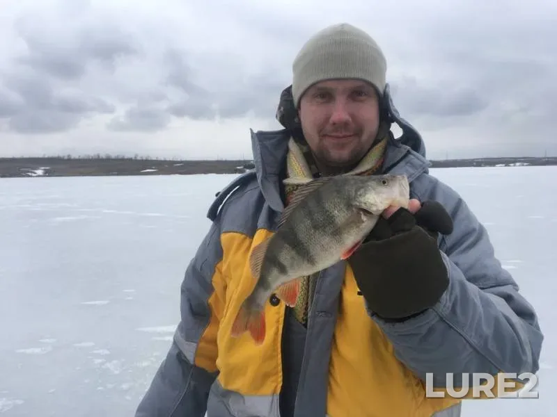 Окунь — Луганська область, 03 мар. 2019 г.