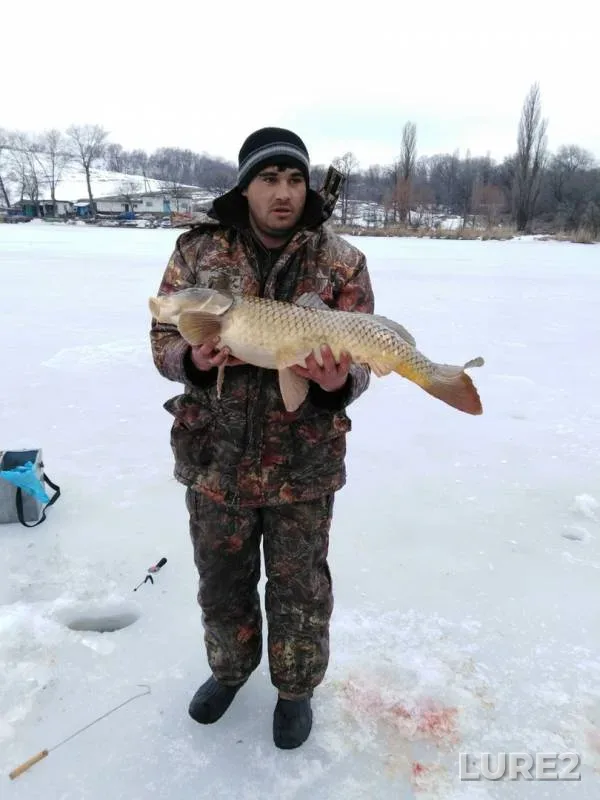 Карп — Миус, 25 февр. 2019 г.
