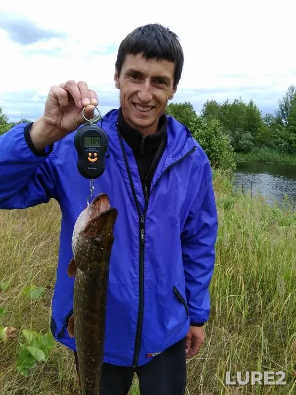Щука — Снов, 24 июн. 2018 г.
