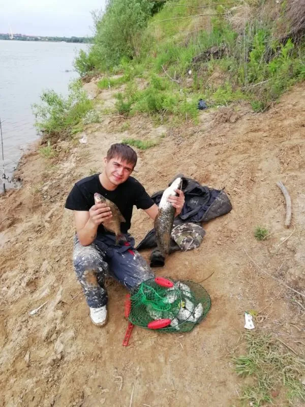 Лещ, Сом