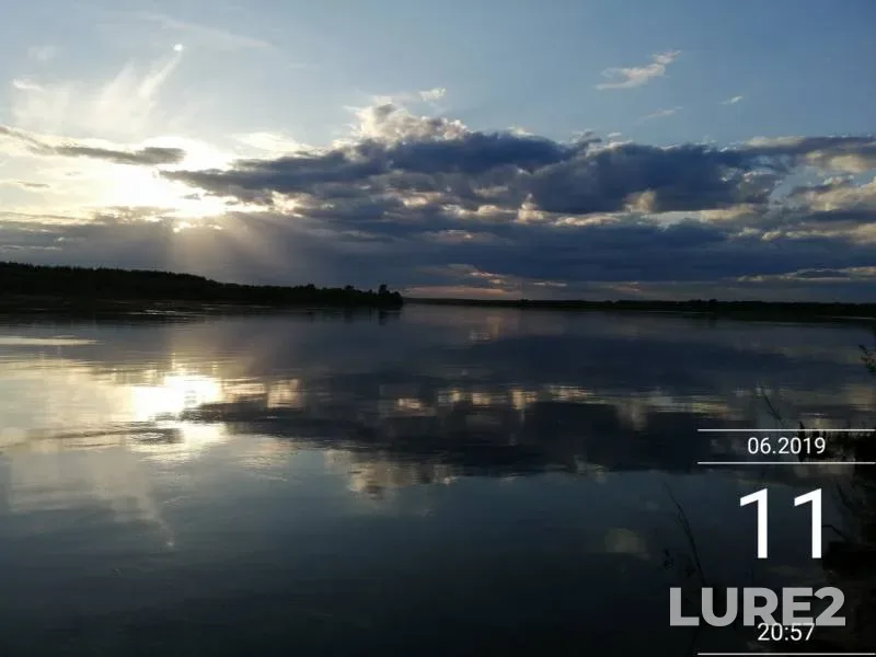 Лещ — Пермский край, 12 июн. 2019 г.