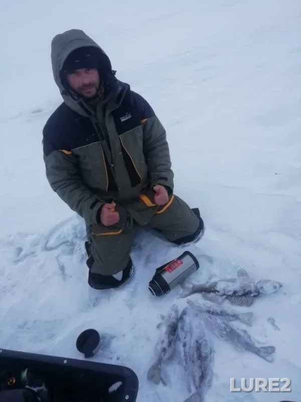 Судак — Волга, 24 янв. 2019 г.